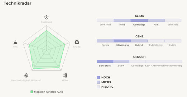 Mexican Airlines AutoCannabissamen Fast Buds (2).png